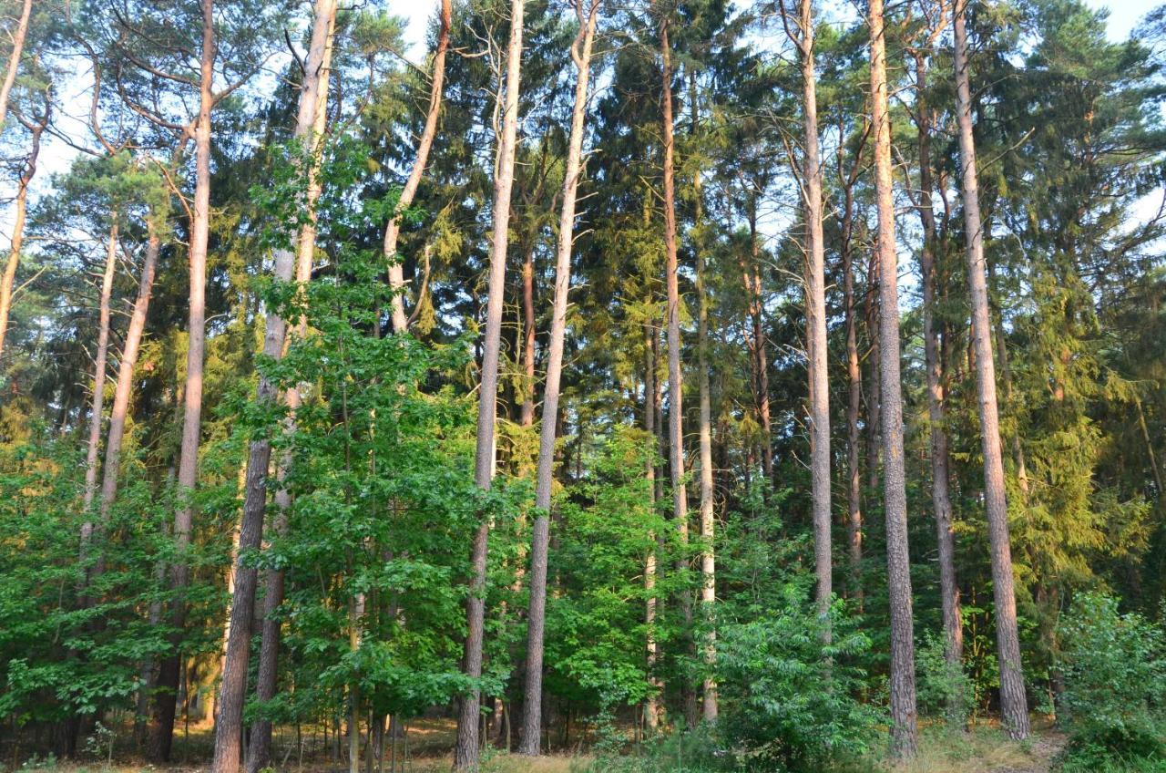 Apartament Blue Mare Pod Wiewiorka Łukęcin Екстериор снимка